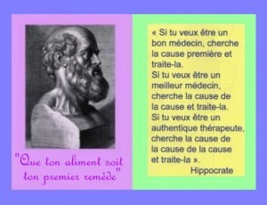 Hippocrate 7.jpg